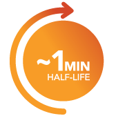 1-Minute Half-Life